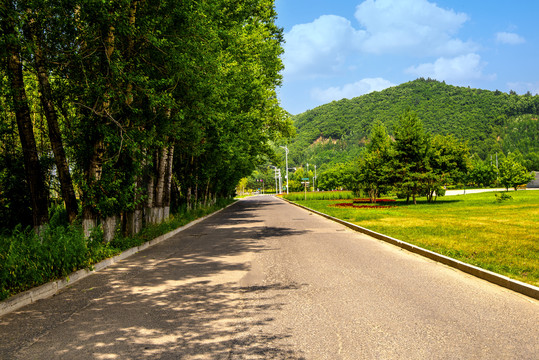 田园风景