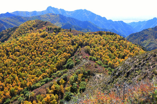 内蒙古大青山景色