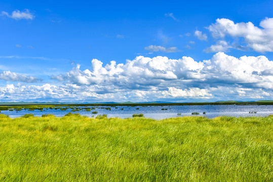 高原湖泊湿地