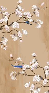 玉蘭花鳥背景圖