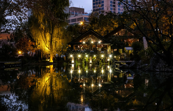 静安公园人工湖夜景