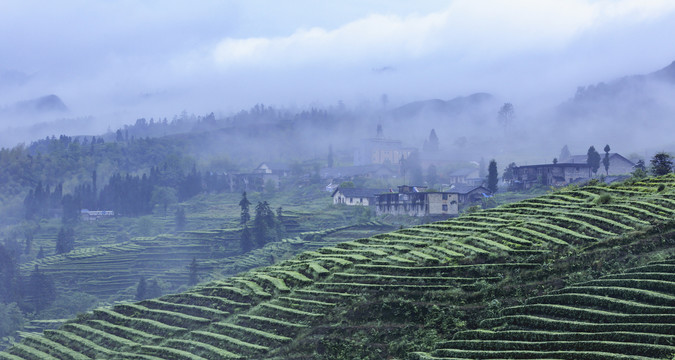 蜿蜒茶山云雾缭绕水墨茶山