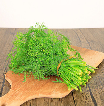 茴香菜