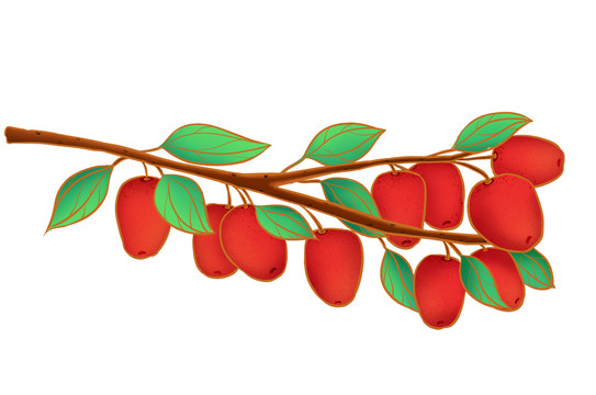 手繪紅棗