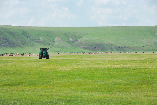 草原牧场拖拉机牛群马群