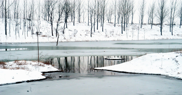 湿地冰河雪景