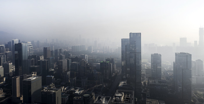 深圳湾科技生态园