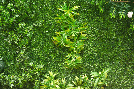 植物装饰墙