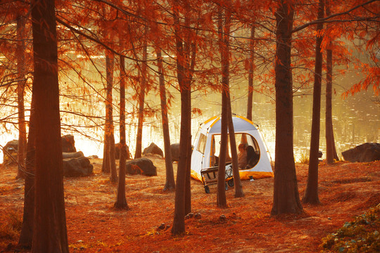 树林帐篷