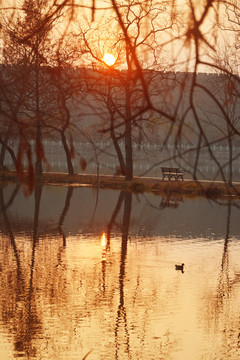 落日湖景