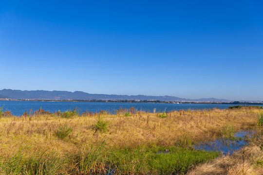 斑斓湿地