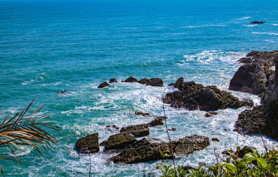 海岸礁石