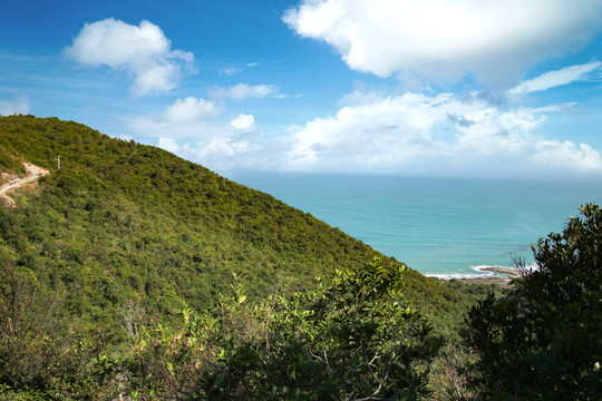 海洋岛屿