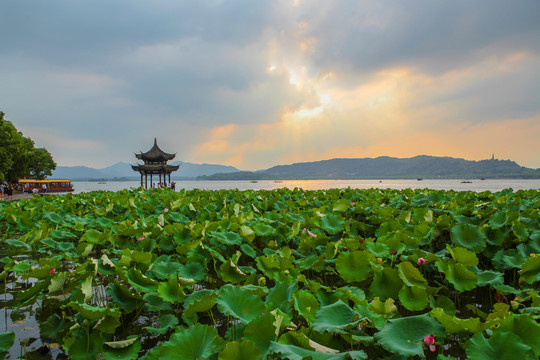 西湖风光集贤亭