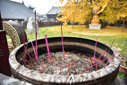 观影禅寺