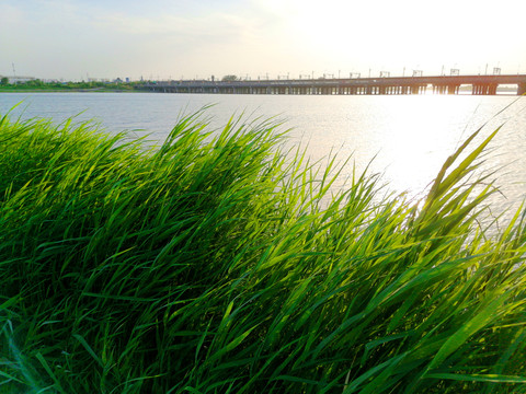 滹沱河生态区