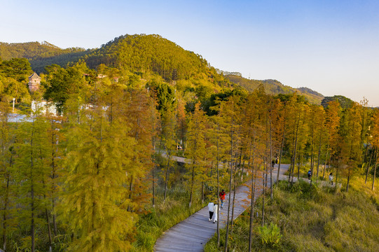 广西梧州冬苍海湿地公园景美如画