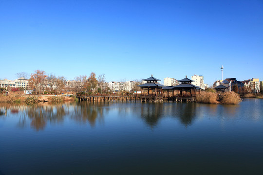 山海天湿地公园冬日风光