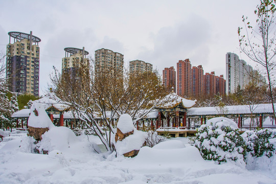 长廊凉亭假山树木高层建筑雪景