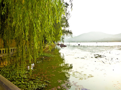 杭州西湖风光