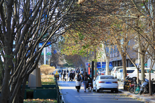 冬季城市街景