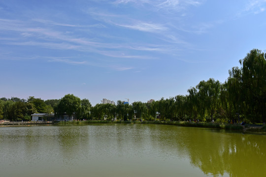 湖光白云树影