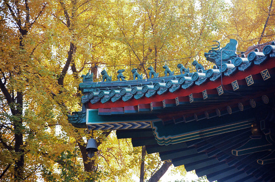 北京香山寺古建筑屋顶秋景