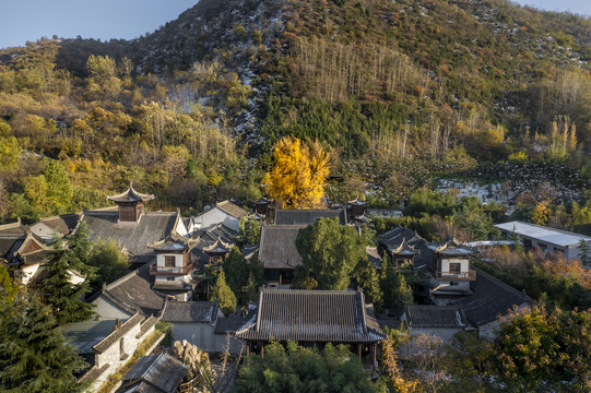 古观音禅寺