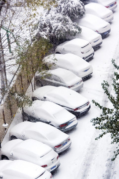 白茫茫大雪天