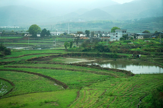 春天的田野乡村