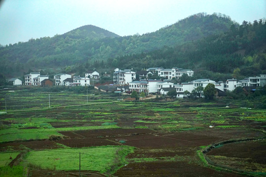 春天的田野乡村