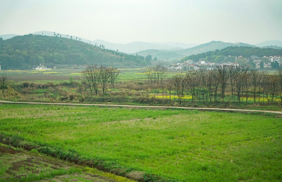 春天的田野乡村