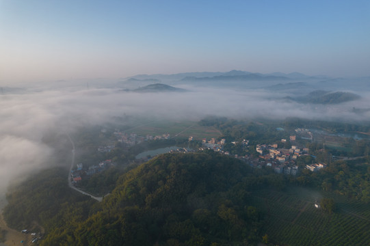 广州市增城区城市风光