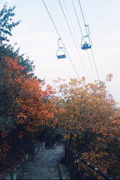 北京香山红叶