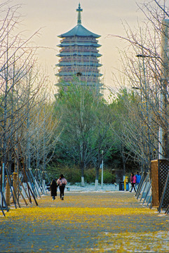 北京园博园永定塔秋景