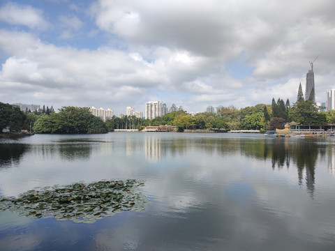 城市湖面