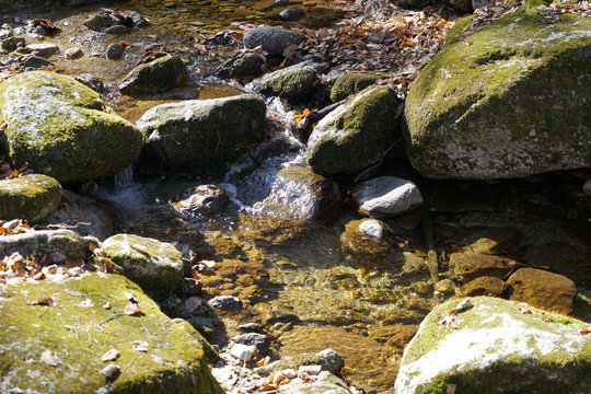 山间的岩石青苔和小溪流水