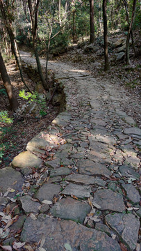 龙驰古道地貌