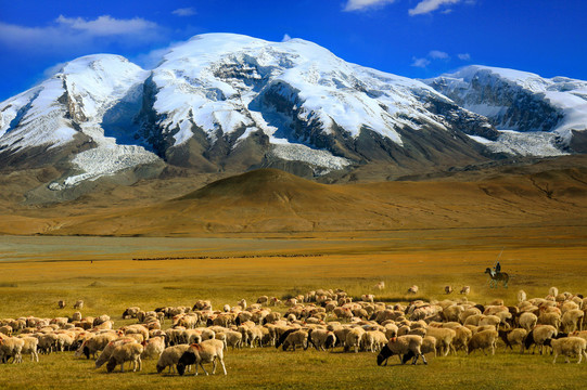 帕米尔高原风景