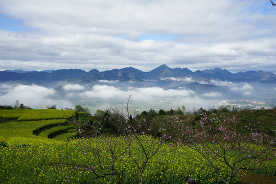 梯田