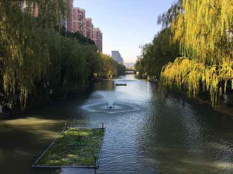 河道水体净化