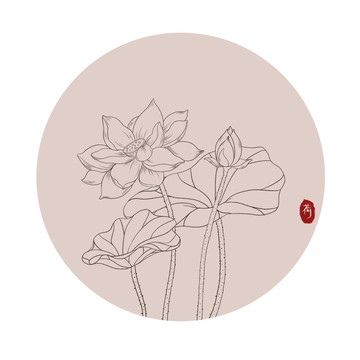 國(guó)潮線稿插畫(huà)包裝設(shè)計(jì)荷花荷葉