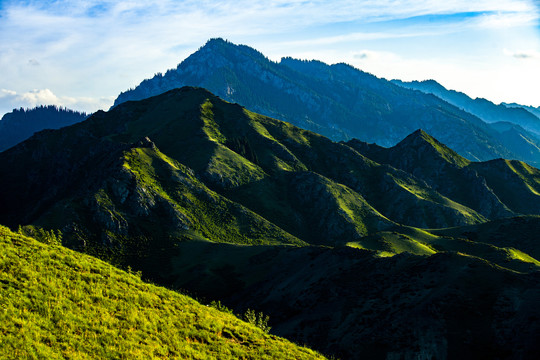 青山