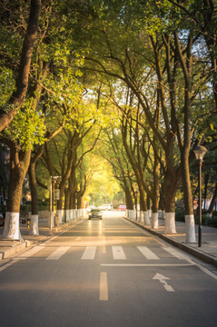 道路