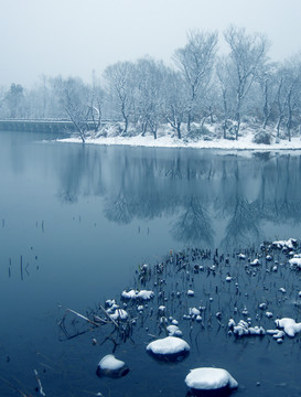 西溪雪景