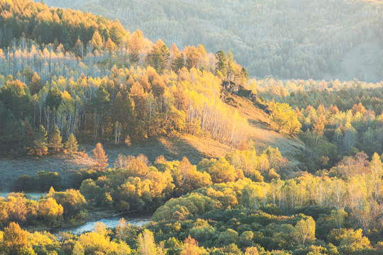 秋季清晨森林河流阳光
