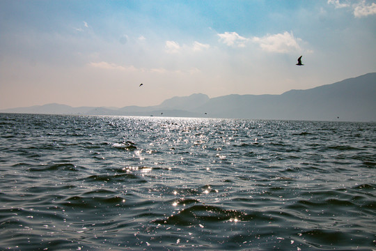 大海海面波光粼粼