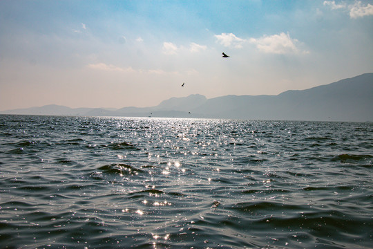 大海海面波光粼粼