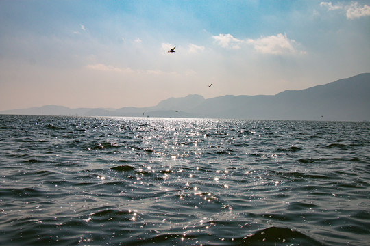 大海海面波光粼粼