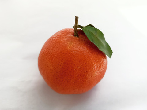 一个柑橘